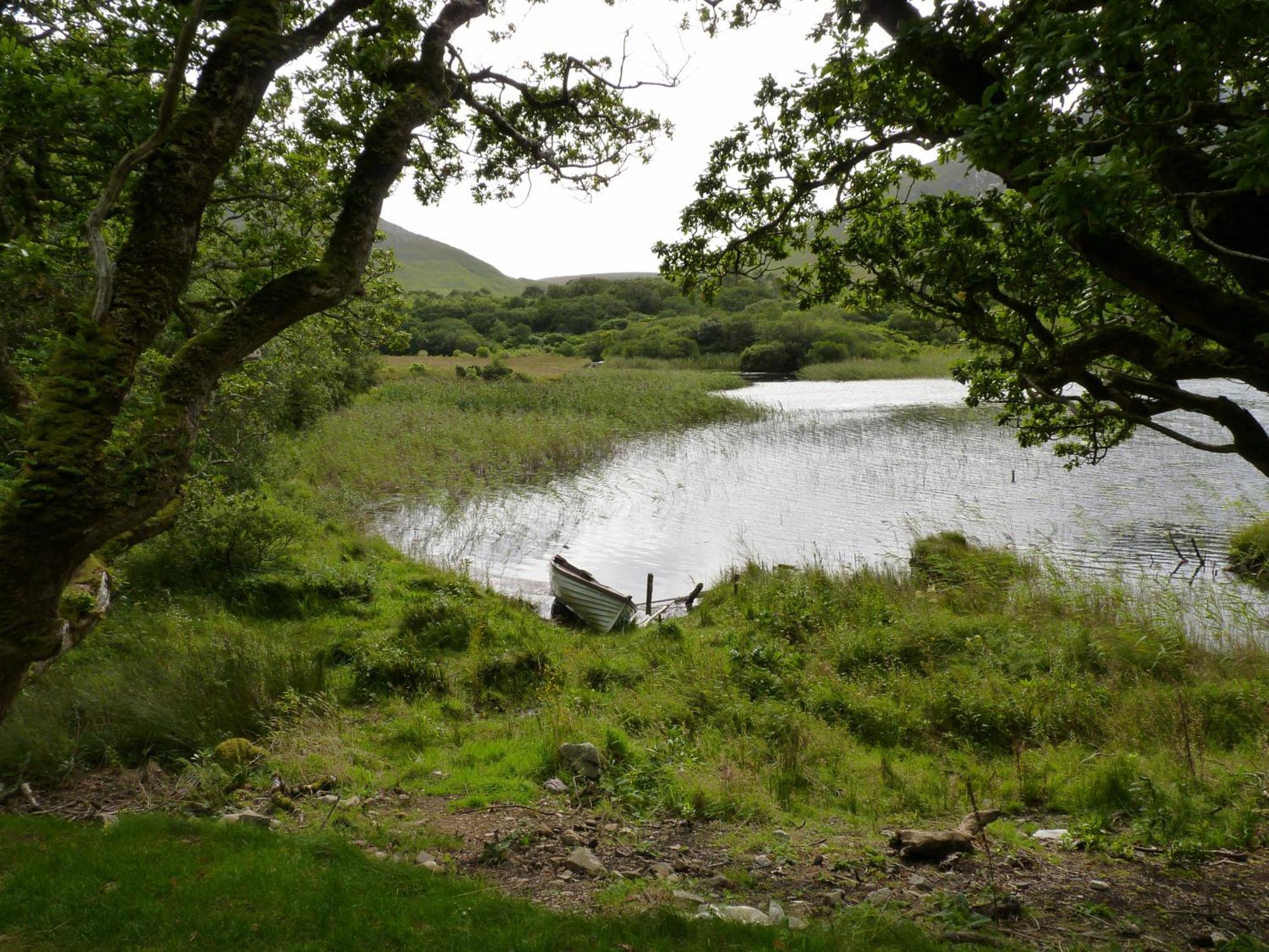 Bed and breakfast Waterfront Rest Clifden